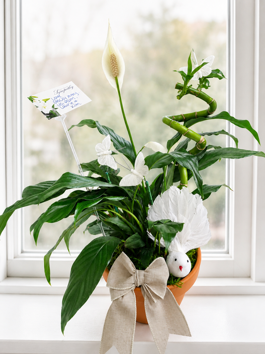Peace Lily and Bamboo Sympathy Garden