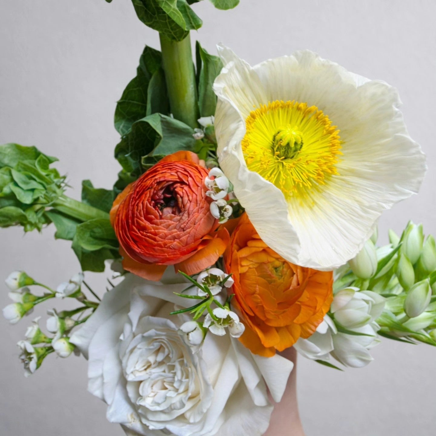 Bohemian Business Subscription Package